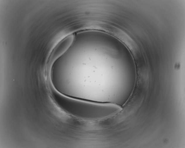 X0000096961084200802081225