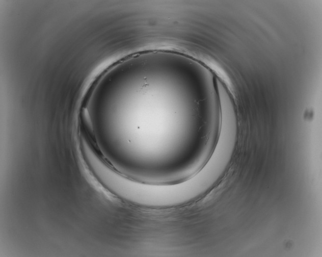 X0000096961088200802081225