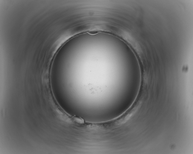 X0000096961089200802081225