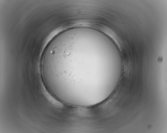 X0000096961090200802081225