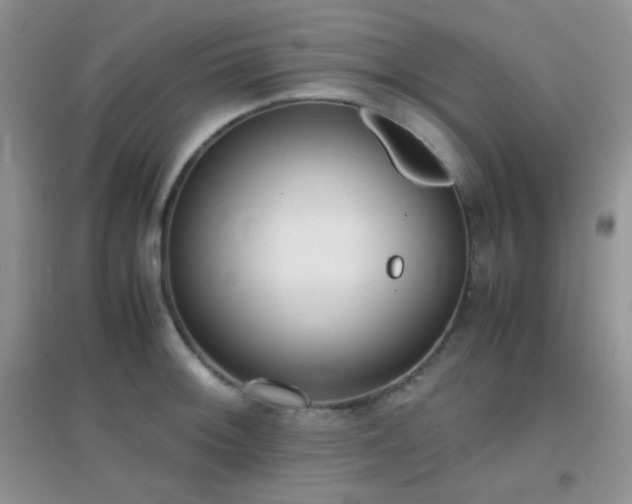 X0000096961092200802081225
