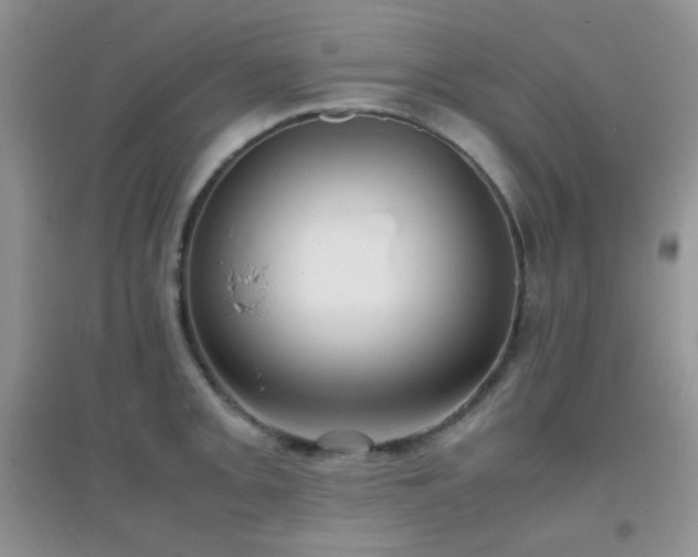 X0000096961093200802081225