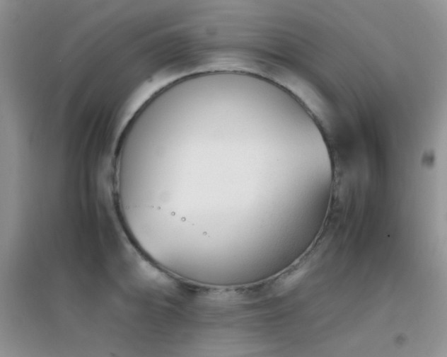 X0000096961094200802081225