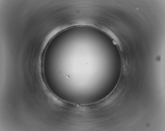 X0000096961096200802081225