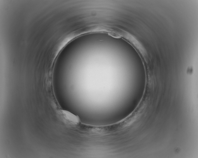 X0000096961097200802081225