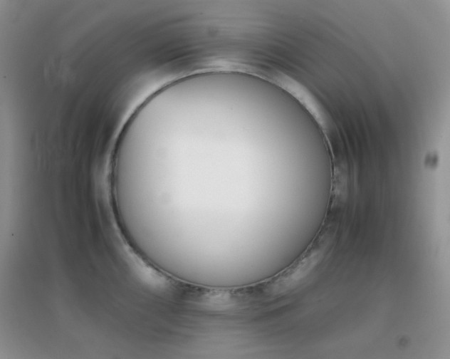 X0000096961098200802081225