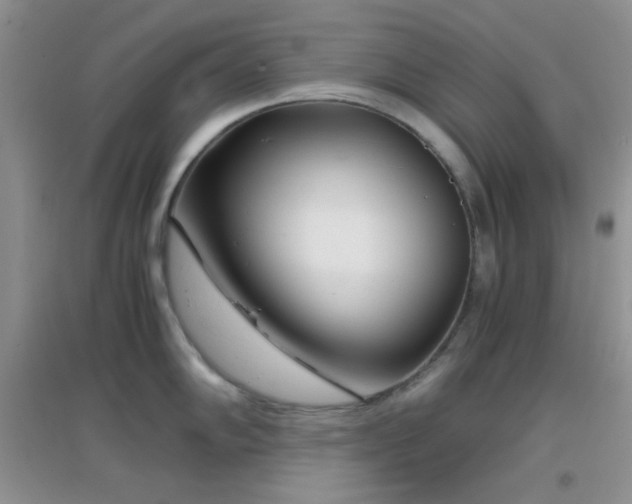 X0000096961102200802081225