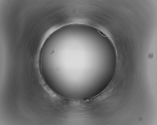 X0000096961104200802081225