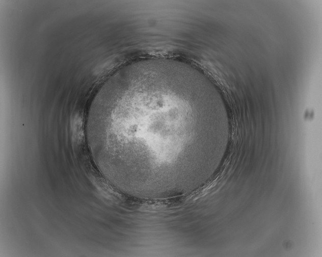 X0000096961106200802081224