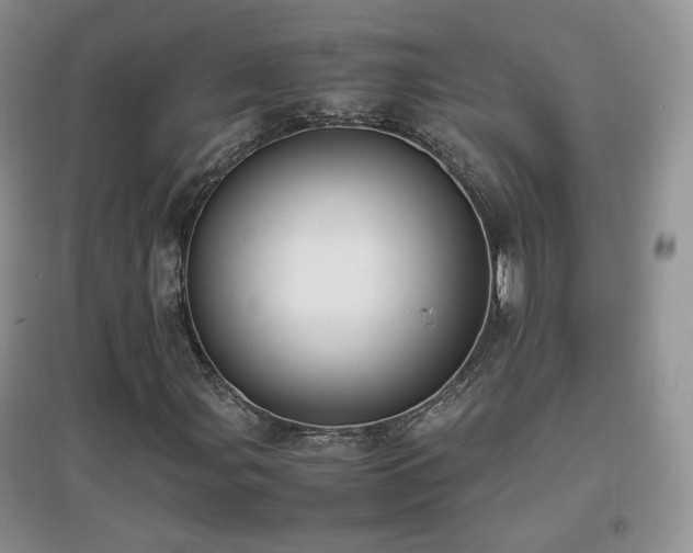 X0000096961107200802081224