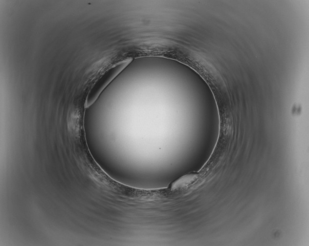 X0000096961108200802081224