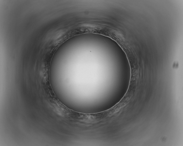 X0000096961109200802081224