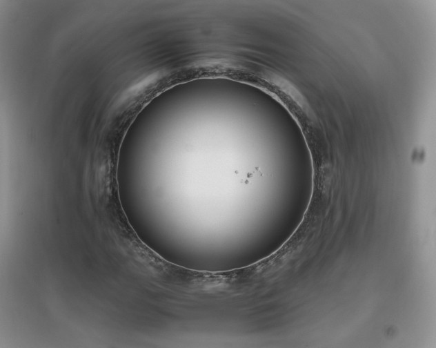 X0000096961111200802081224