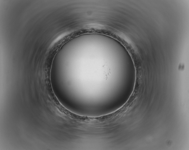 X0000096961112200802081224