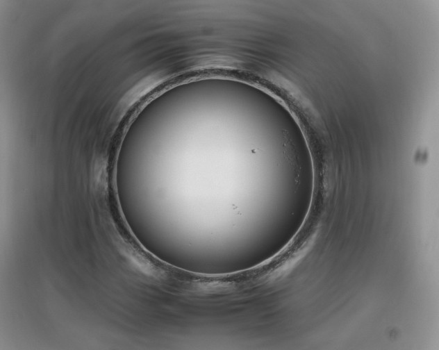 X0000096961113200802081224