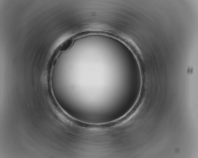 X0000096961114200802081224