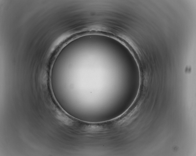 X0000096961115200802081224