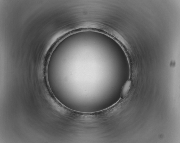 X0000096961116200802081224