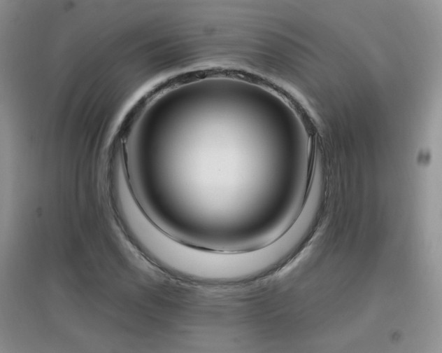 X0000096961118200802081224