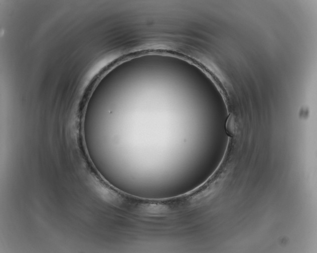 X0000096961119200802081224