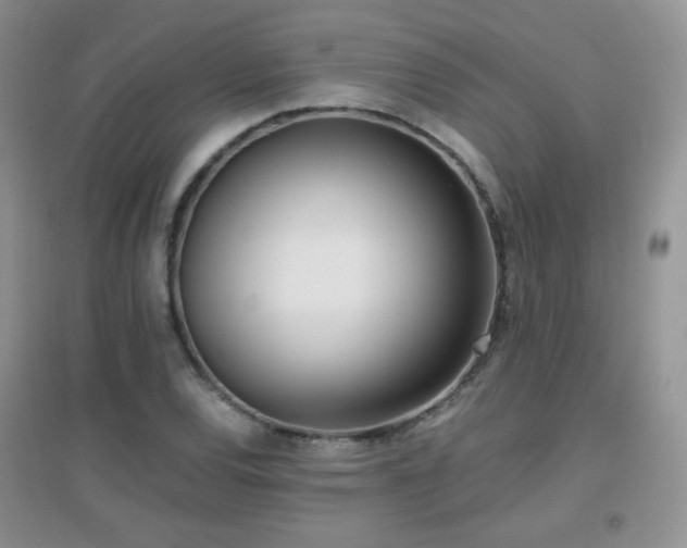 X0000096961120200802081224