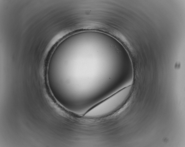 X0000096961122200802081224