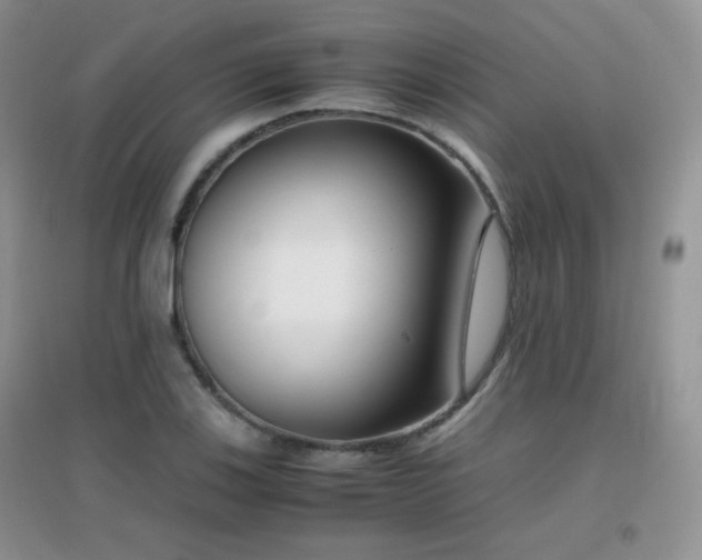 X0000096961123200802081224