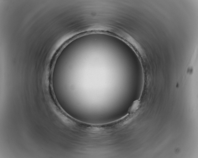 X0000096961124200802081224