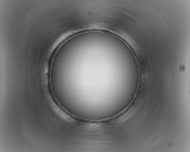 X0000096961126200802081224