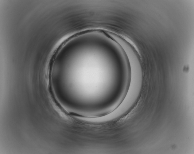 X0000096961127200802081224