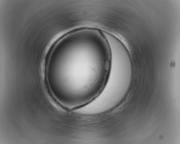X0000096961128200802081224