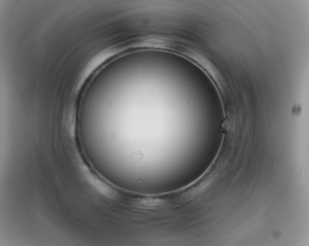 X0000096961131200802081224