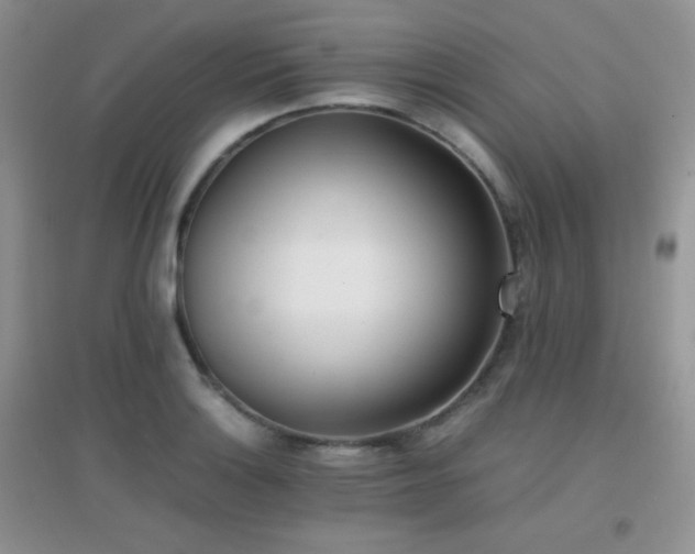 X0000096961132200802081224