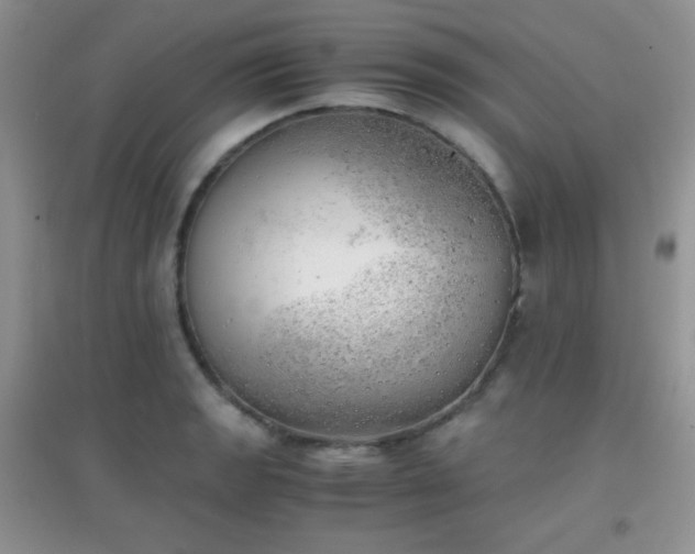 X0000096961133200802081224