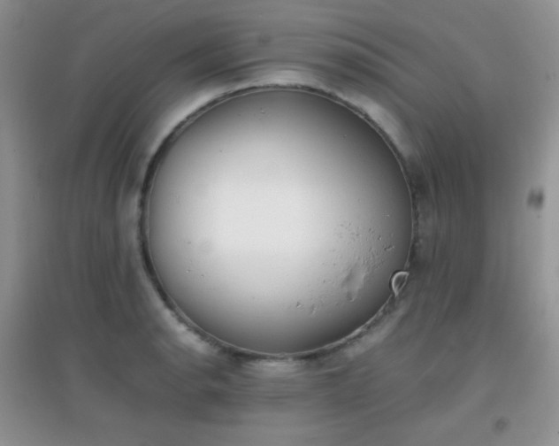 X0000096961134200802081224