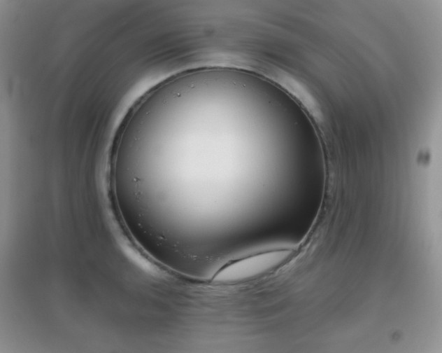 X0000096961136200802081224