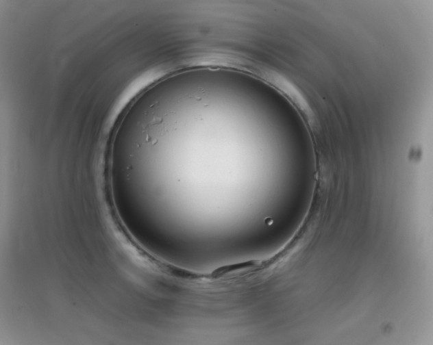 X0000096961138200802081224
