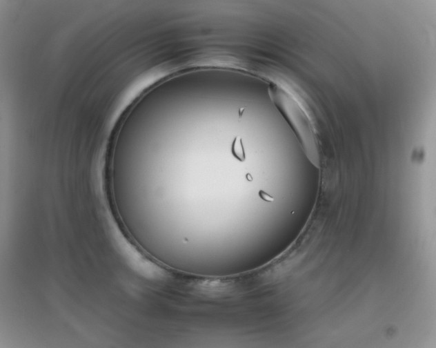 X0000096961139200802081224