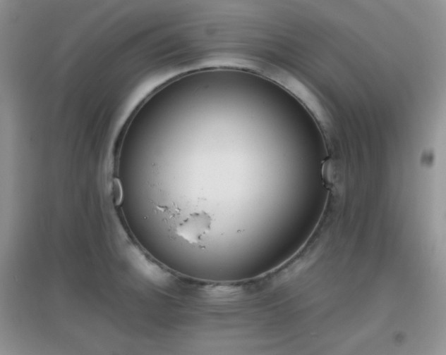 X0000096961140200802081224