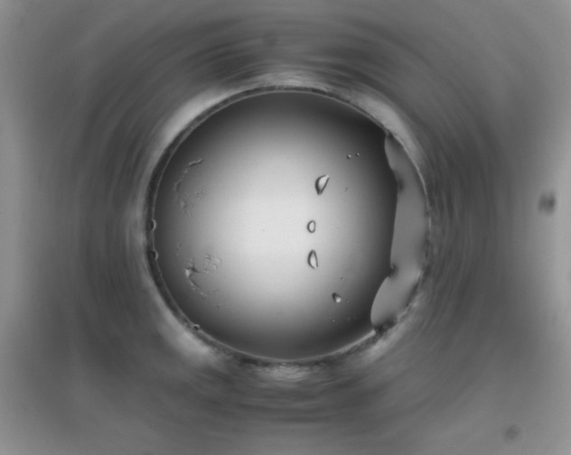 X0000096961141200802081224