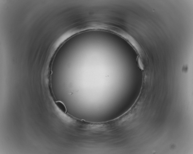 X0000096961143200802081224