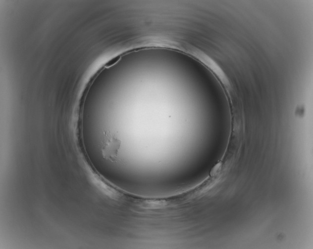 X0000096961144200802081224