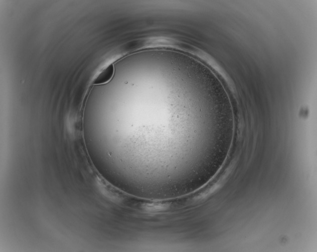 X0000096961145200802081224