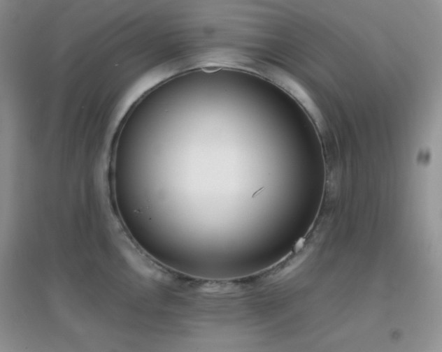 X0000096961146200802081224
