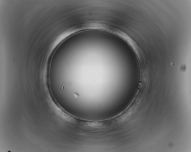 X0000096961147200802081225