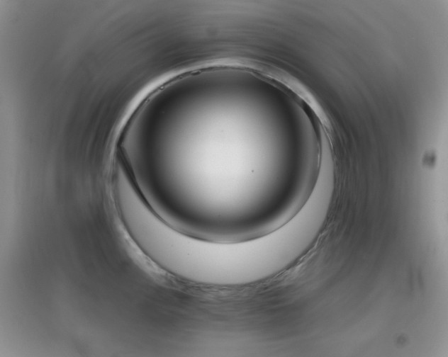 X0000096961148200802081225