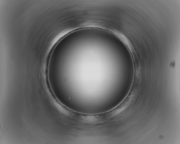 X0000096961149200802081225