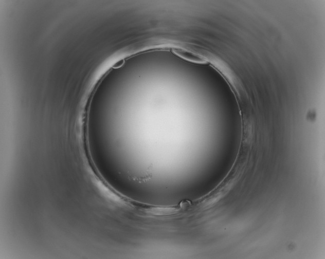 X0000096961151200802081225