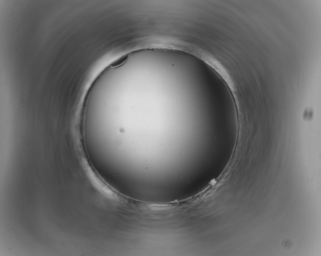 X0000096961152200802081225
