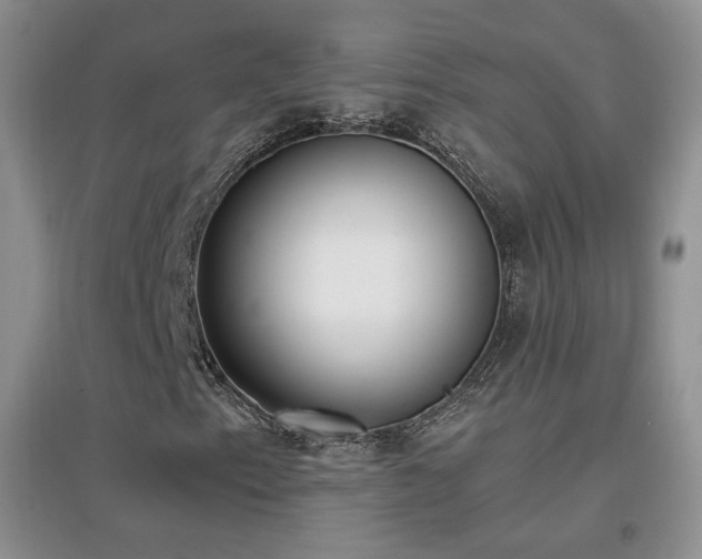 X0000096961153200802081224